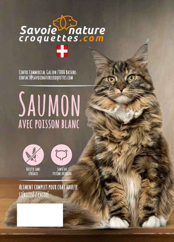 croquettes au saumon poisson blanc chat