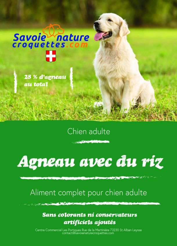 croquettes Agneau Riz