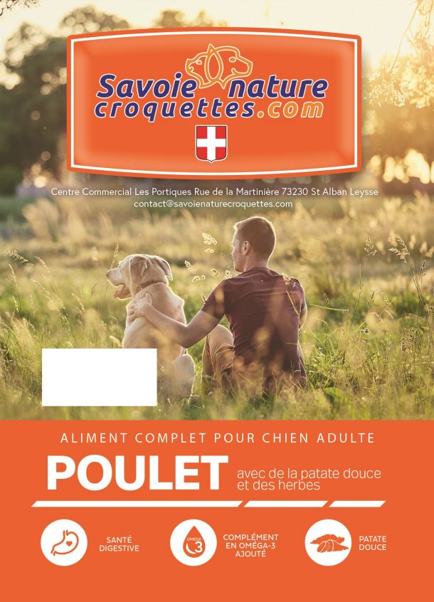 croquettes au poulet